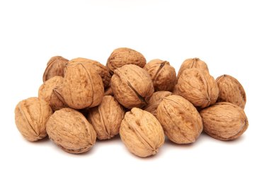 Ortak ceviz (juglans regia)