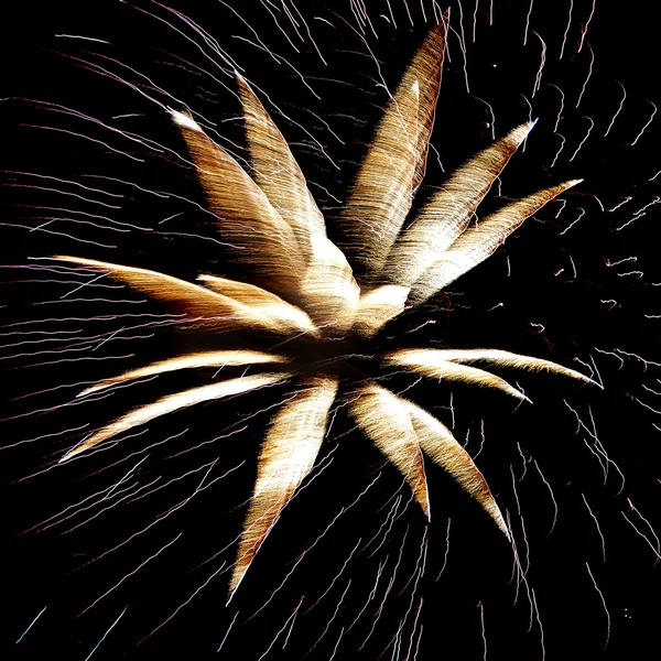 Fogos de artifício Ano Novo — Fotografia de Stock