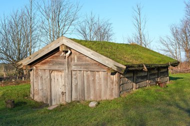 Viking evi