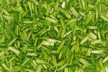 Chopped chives clipart