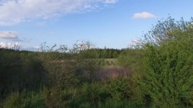 Danimarka'da bulunan Vestskoven havadan görünümü