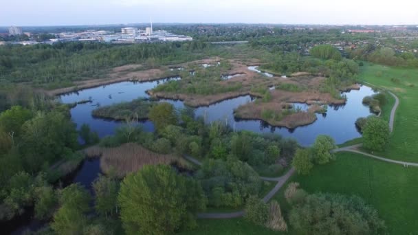 Пташиного польоту Smor Mira розташована в Данії — стокове відео