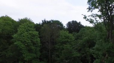 Stampedam, Danimarka Hava görünümünü