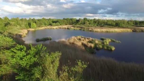 Luftaufnahme eines typischen dänischen Sumpfgebiets — Stockvideo