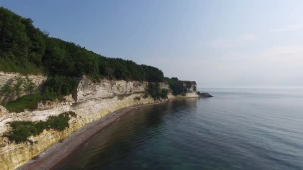 Aerial view of Stevns Cliff, Denmark — Stock Video