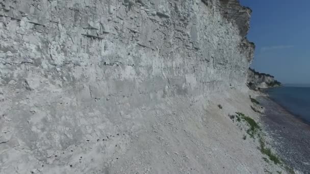 Vista aérea de Stevns Cliff, Dinamarca — Vídeo de stock