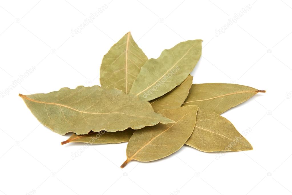 Dried bay leaves