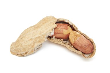 Açık kabuklu fıstık (Arachis hypogaea)