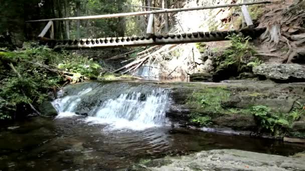 Vodopád v lese — Stock video