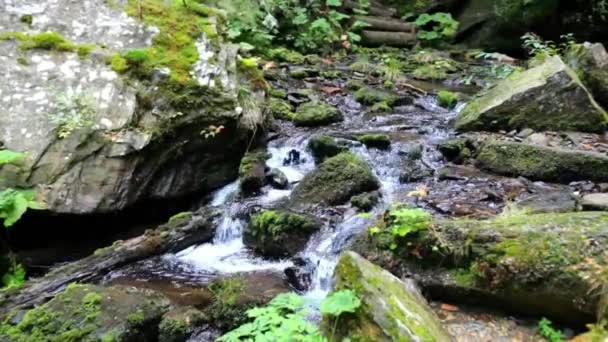 Waterval in het bos — Stockvideo