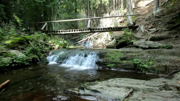 Cascada en el bosque — Vídeos de Stock