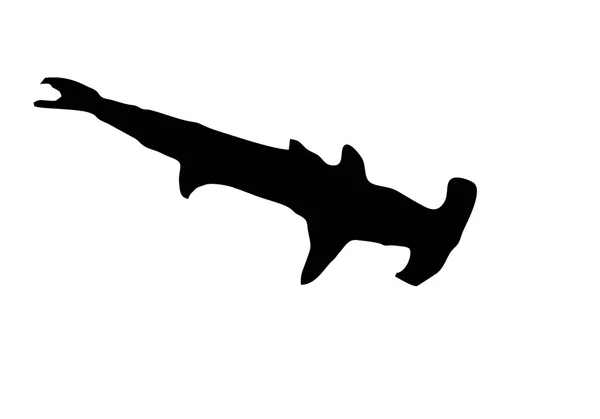 Hammerhead silhouette (isolated) — Stock Photo, Image