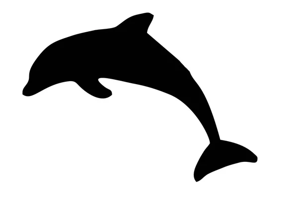 Dolphin silhouette (isolated) — Stock Photo, Image