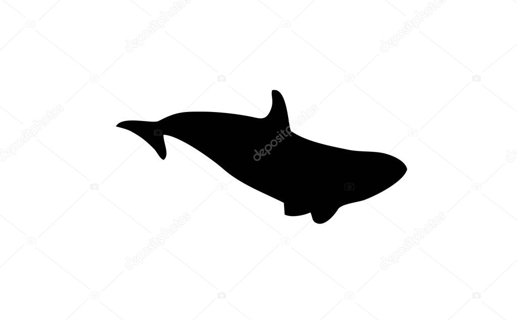 Killer Whales silhouette on a white background