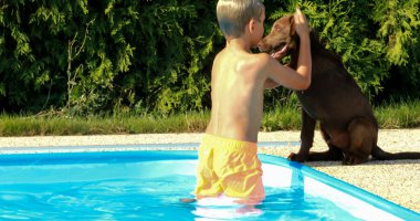 Küçük çocuk havuz başında bir köpekle oynuyor. Labrador köpeği ve bahçede bir bebek.
