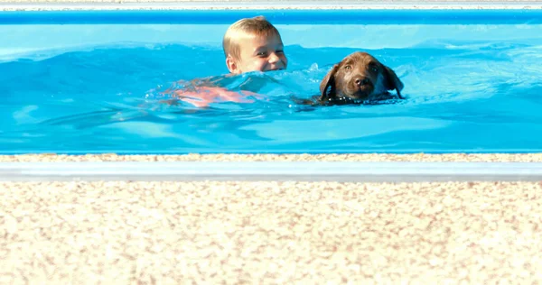 Chlapec Hraje Psem Bazénu Labrador Štěně Dítětem Zahradě — Stock fotografie