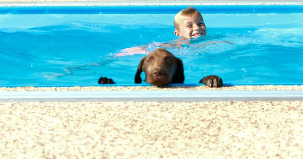 Little boy playing with a dog by the pool. Labrador puppy with baby in the garden.