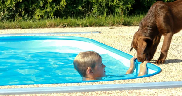 Kleiner Junge Spielt Mit Einem Hund Pool Labrador Welpe Mit — Stockfoto