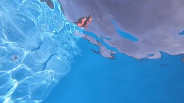 Malý Chlapec Potápí Moři Pomalý Záběr Potápěčského Chlapce Zpomal Podvodní — Stock video