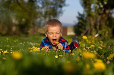 küçük çocuk çim.