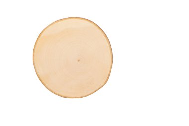 ağacının kesit görünümü