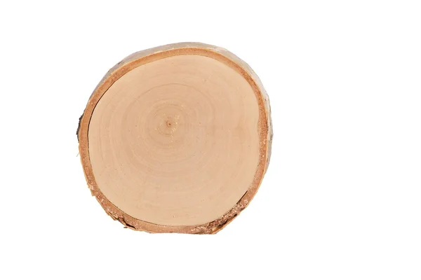 Vedere secțională a copacului — Fotografie, imagine de stoc