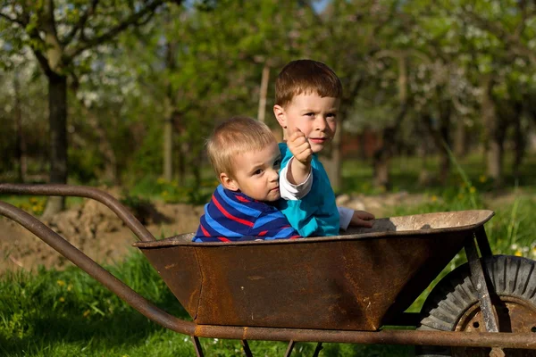 Dos niños pequeños en el jardín . — Foto de Stock