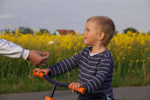 Little boy and flower. — Stock Photo, Image