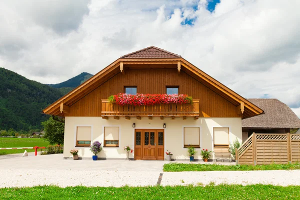 Penceredeki çiçekler.