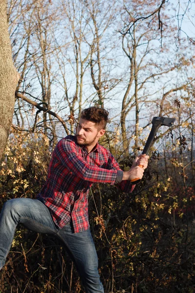 Stylový dřevorubec se sekyrou — Stock fotografie