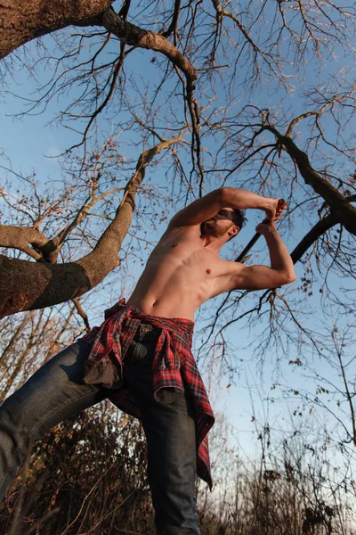 şık oduncu balta ile