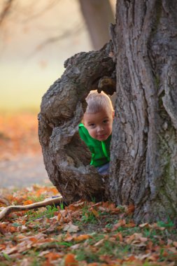 Sonbahar sevimli çocuk portresi