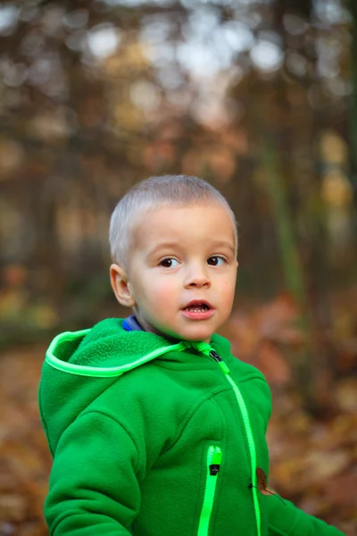 Осенний портрет милого мальчика — стоковое фото