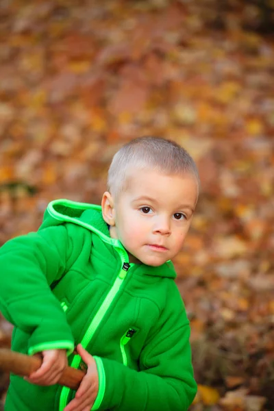 Herfst portret van schattige jongen — Stockfoto