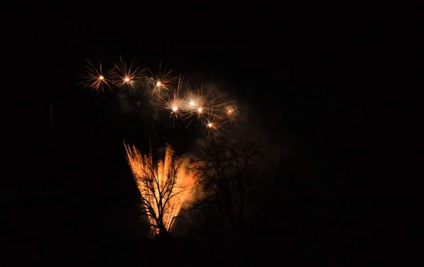 Fuegos artificiales de colores en el cielo nocturno —  Fotos de Stock