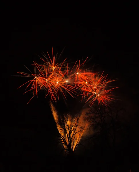 Fogos de artifício coloridos no céu noturno — Fotografia de Stock