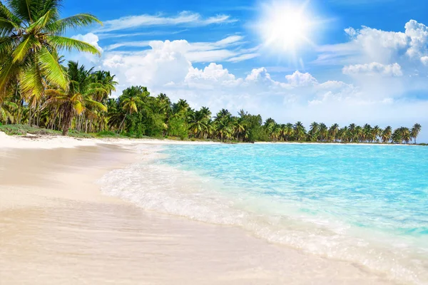 Tropical beach, turquoise sea water, ocean wave, yellow sand, green palms, sun blue sky, white clouds, beautiful seascape, summer holidays, exotic island vacation, caribbean travel, maldives landscape