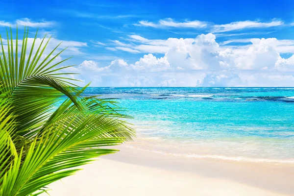 Tropical island landscape, exotic sand beach, turquoise sea water ocean waves, sun blue sky white clouds background, beautiful nature view, summer holidays, vacation, travel
