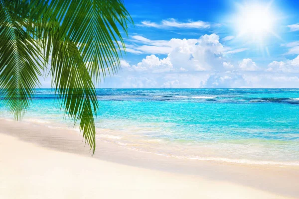 Tropical island landscape, exotic sand beach, turquoise sea water ocean waves, sun blue sky white clouds background, beautiful nature view, summer holidays, vacation, travel