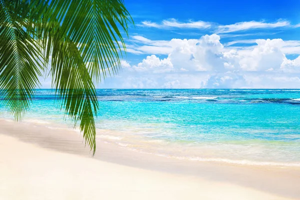 Tropical Island Landscape Exotic Sand Beach Turquoise Sea Water Ocean — Stock Photo, Image