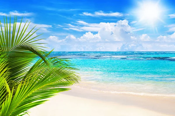 热带岛屿景观 奇异的沙滩 碧绿的海水海浪 蓝天白云背景 美丽的自然景观 — 图库照片