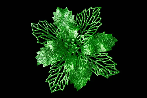 Grüne Blume Dunkel Schwarzen Hintergrund Isoliert Nahaufnahme Schöne Grüne Metallblume — Stockfoto