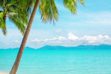 Tropik plaj manzarası, egzotik ada manzarası, turkuaz deniz suyu, okyanus dalgası, yeşil palmiye yaprakları, sarı kum, mavi güneşli gökyüzü, beyaz bulutlar, güzel doğa, yaz tatili, tatil, seyahat