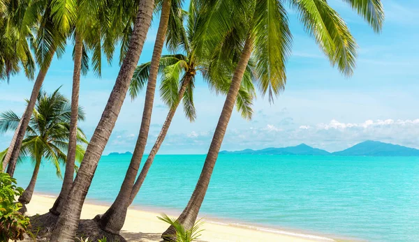 熱帯ビーチの風景 エキゾチックな島の景色 ターコイズブルーの海の水 海の波 緑のヤシの木の葉 黄色の砂 青い日当たりの良い空 白い雲 美しい自然 夏休み — ストック写真