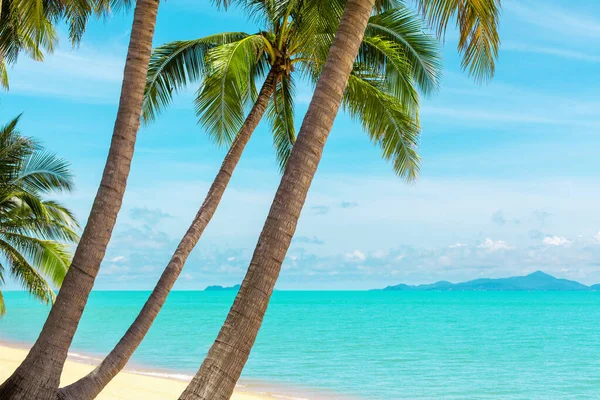 熱帯ビーチの風景 エキゾチックな島の景色 ターコイズブルーの海の水 海の波 緑のヤシの木の葉 黄色の砂 青い日当たりの良い空 白い雲 美しい自然 夏休み — ストック写真