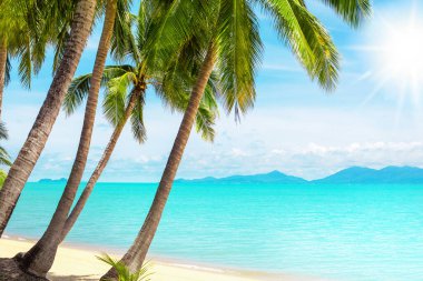 Tropik ada plaj manzarası, egzotik güzel doğa manzarası, turkuaz deniz, okyanus suyu, yeşil palmiye yaprakları, beyaz kum, güneş, mavi gökyüzü, bulutlar, yaz tatilleri, tatil, seyahat, dinlenme, dinlenme, tatil