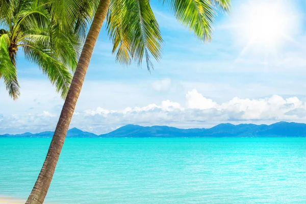 Tropisk Strand Utsikt Exotisk Vacker Natur Landskap Turkos Hav Hav — Stockfoto