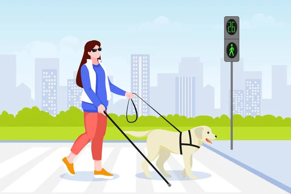 Young Blind Woman Crosses Street Road Guide Dog Labrador Retriever — Stock Vector