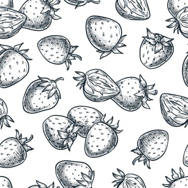 Tatlı taze, dikişsiz çilek deseni. Bahar ve yaz siyah ve beyaz doğrusal böğürtlen taslak vektör çizimi. El çizimi arkaplan, tekstil baskısı, kumaş tasarımı veya ambalaj kağıdı.