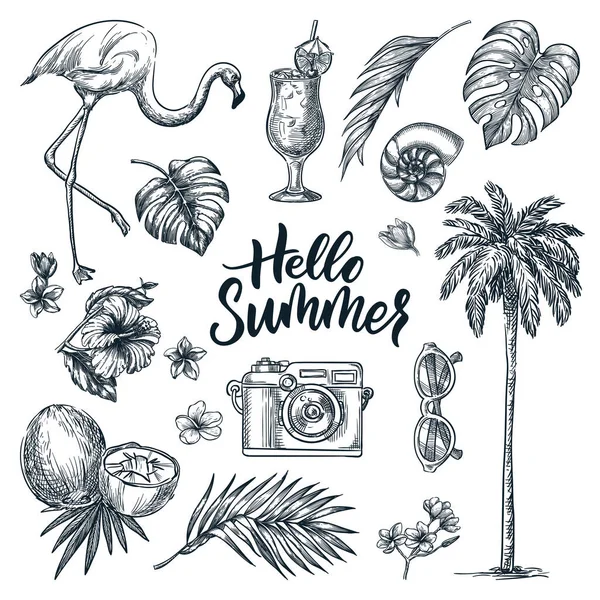 こんにちは夏の書道のレタリングや熱帯のデザイン要素を設定します 海のビーチの休日の手のアイコンは 白い背景に隔離された描画 ベクトルドアスケッチイラスト — ストックベクタ
